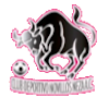 https://img.haomaidao.cn/img/football/team/97c3ef30cac48cadff97605e387feefa.png